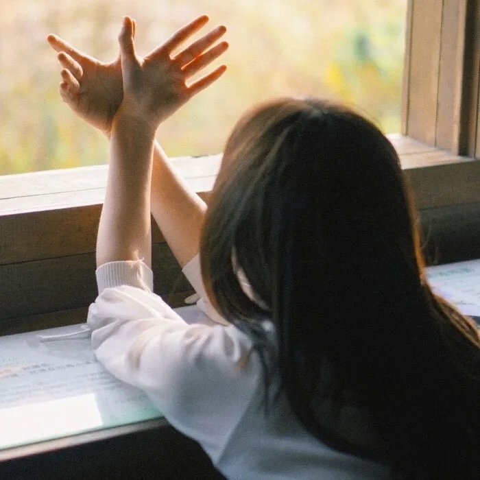 鲁邦三世VS猫眼三姐妹