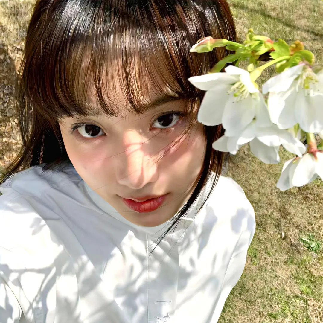 穷途鼠的奶酪梦